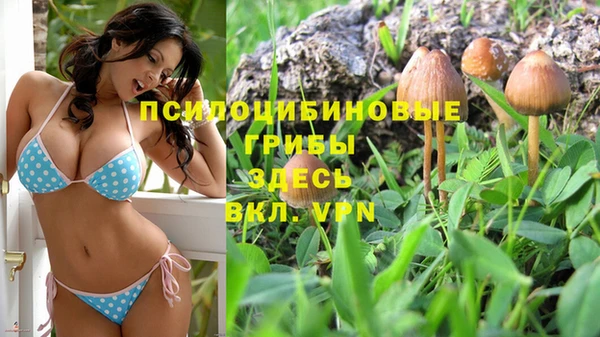 дмт Лабытнанги
