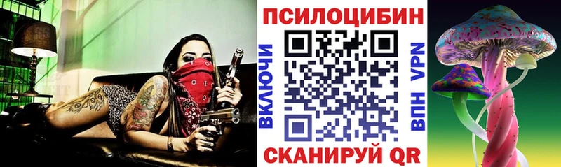 закладки  Иланский  Галлюциногенные грибы Psilocybe 